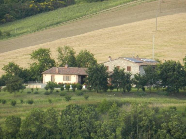 foto21
