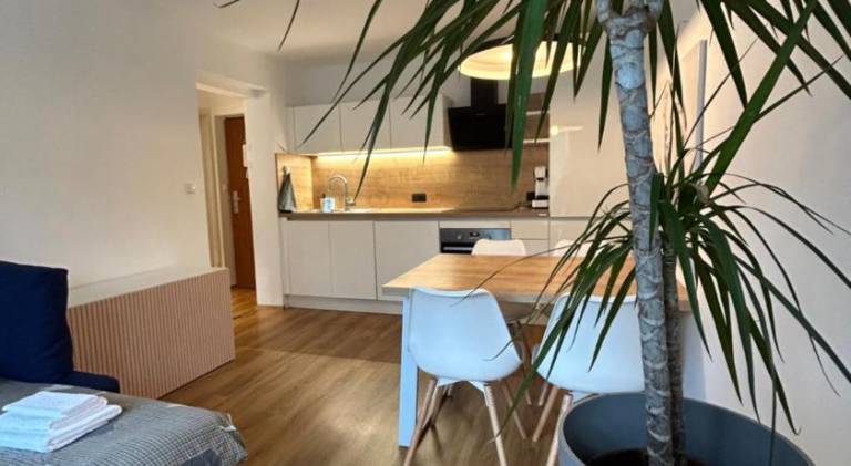 Apartment | Close to Ljubljana Castle — photo 4