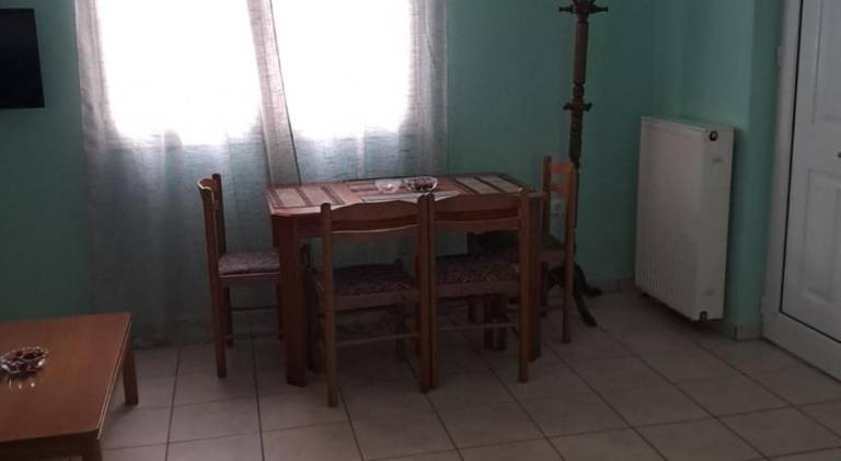 foto16