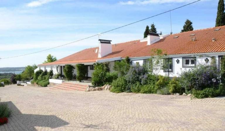 Quinta Avis