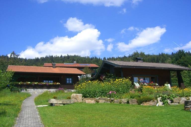 foto7