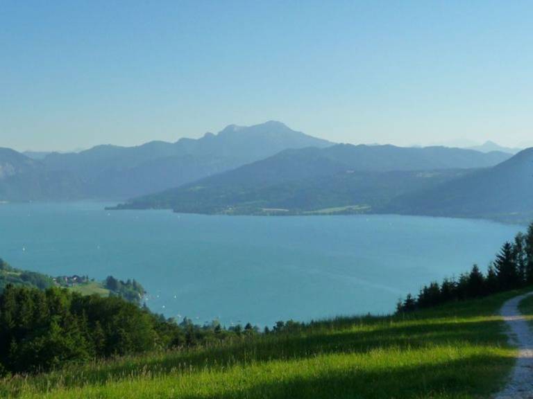 foto19