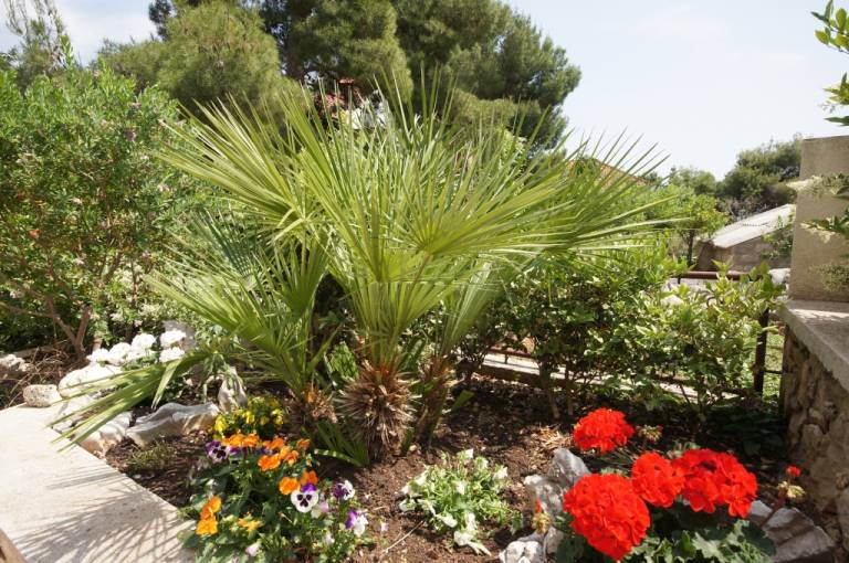 Fully equipped apartment with garden, patio & grill | Beach nearby | Dogs allowed — photo 4