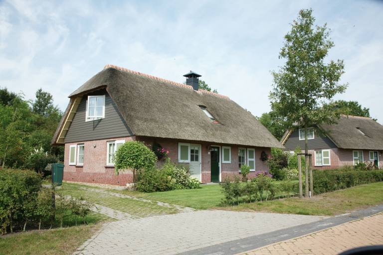foto1