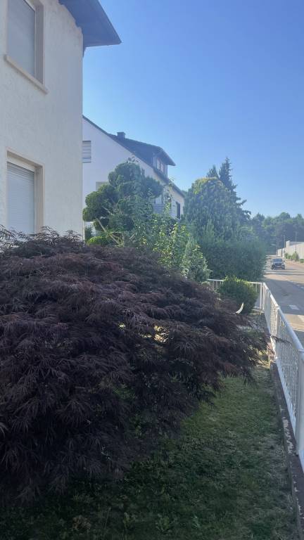 foto15