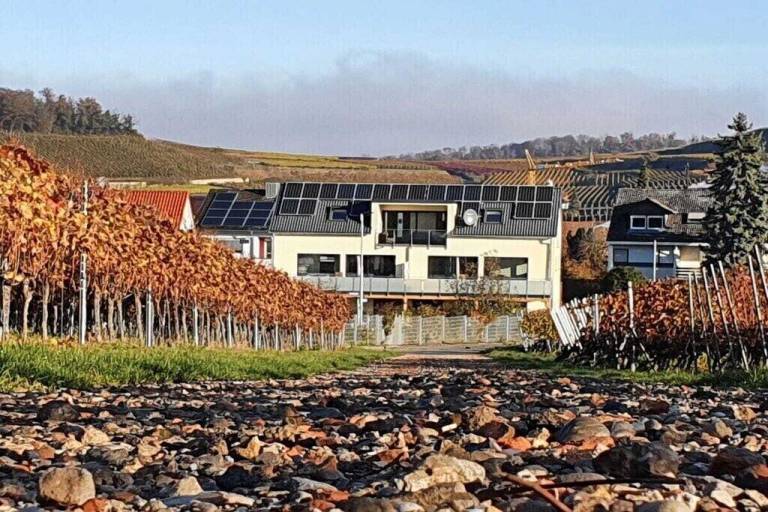 Ferienhaus Vogtsburg im Kaiserstuhl