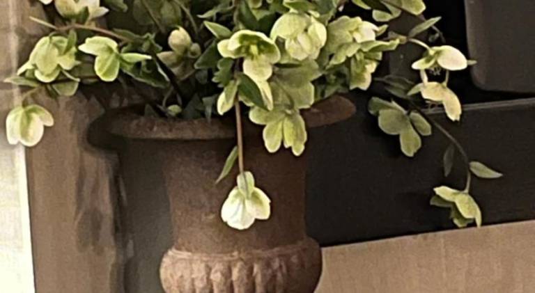 foto45