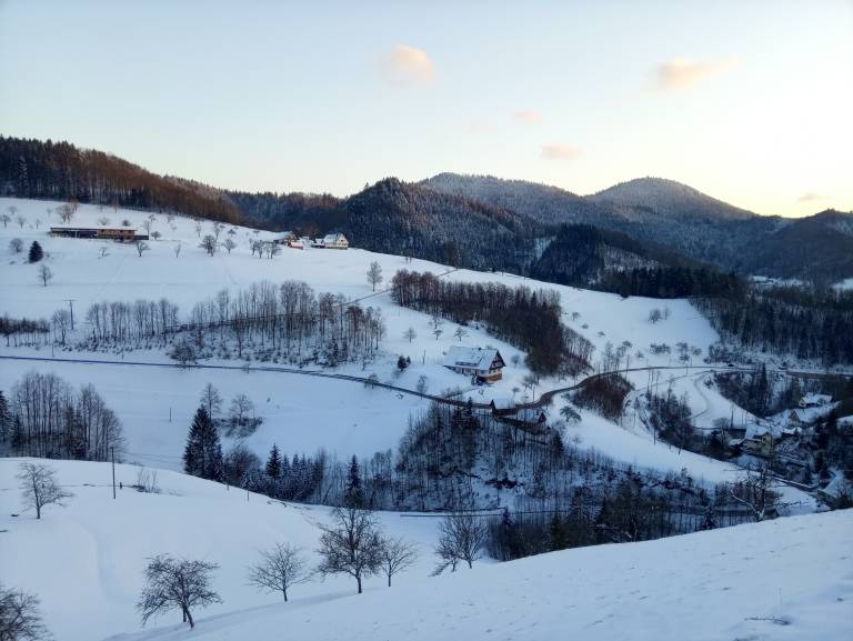 foto1