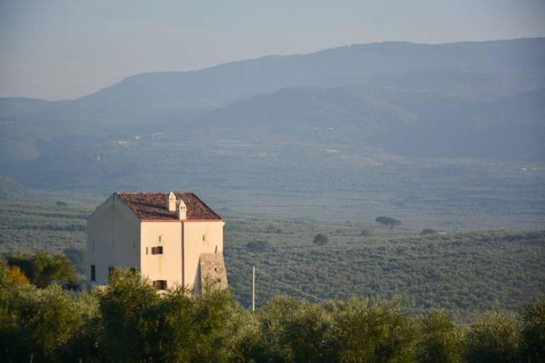 Torre Bruno: Rosa - Matrimoniale/Doppia o letti sing — photo 4