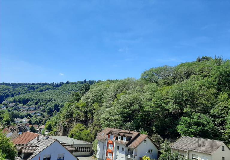 foto12