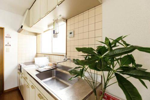 38 m² Ferienwohnung