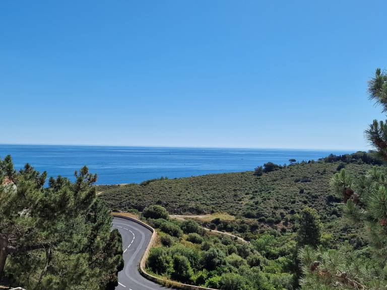 Apartment in Banyuls-sur-Mer with Sea View and Parking — photo 3