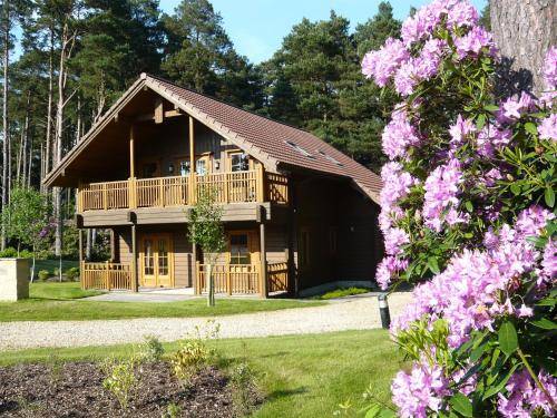 Chalet Bere Regis