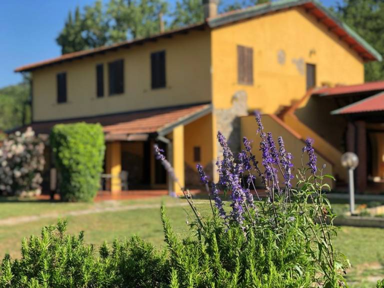 Camera privata Sassetta