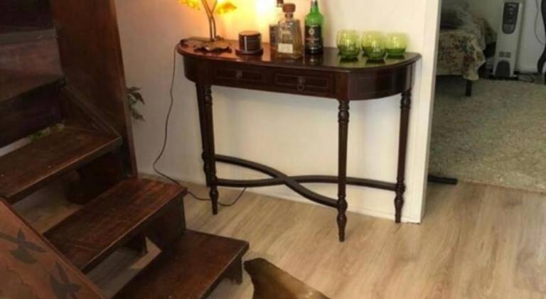 foto17