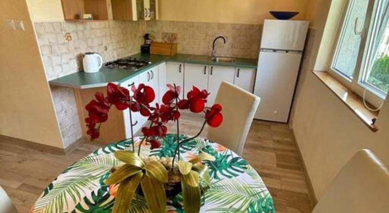 Beautiful holiday apartment | Next to the beach | Pets allowed — photo 4