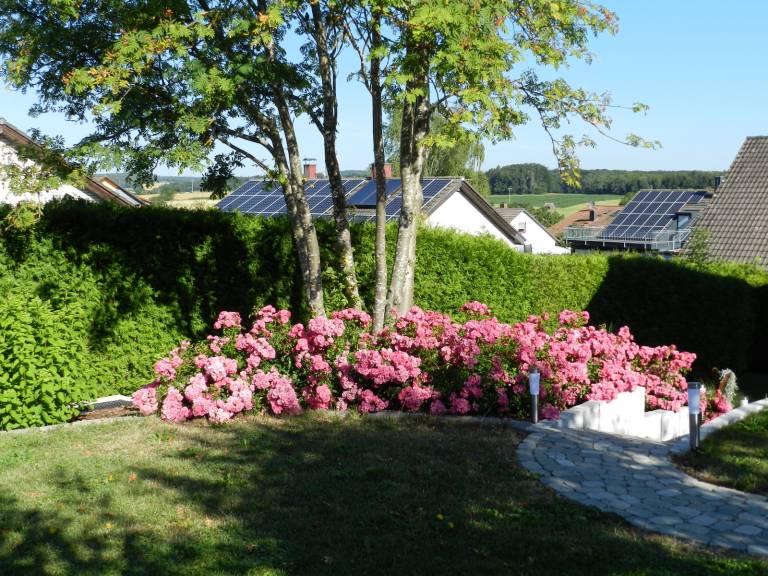 foto6