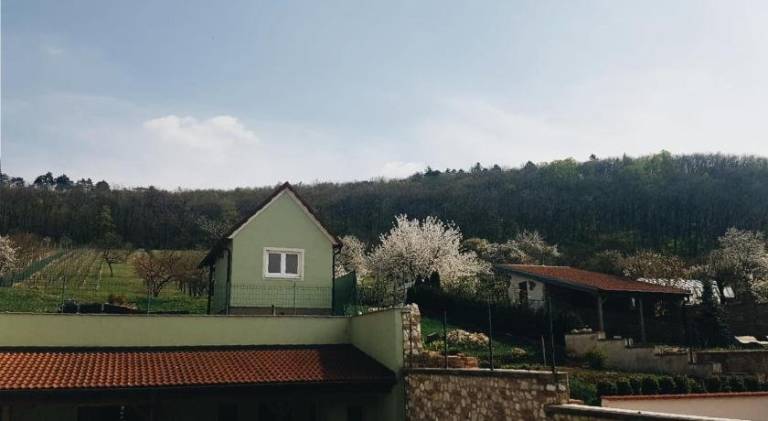 Dom  Mikulov