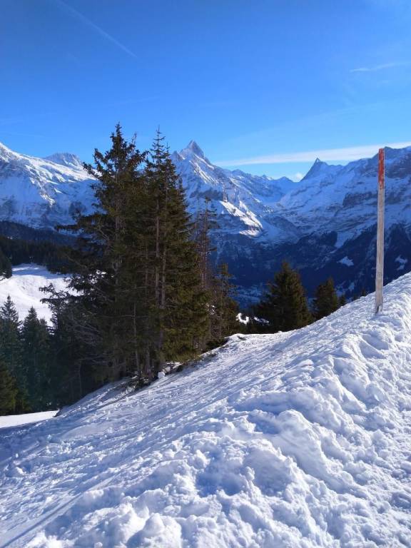 Ferienwohnung Grindelwald