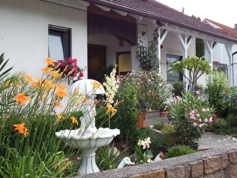 foto2