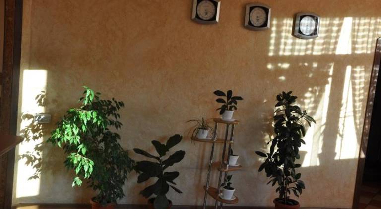 foto6