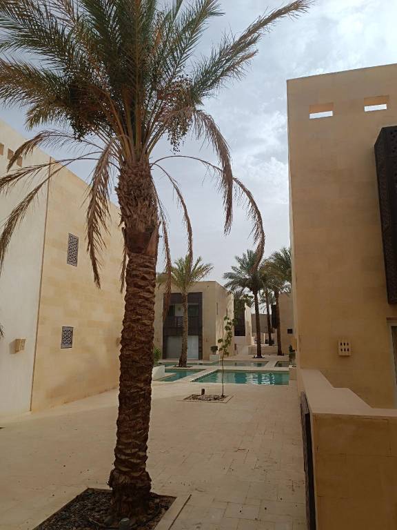TAJ HOME, Scarab 2BR Ground floor, Pool view. — photo 5