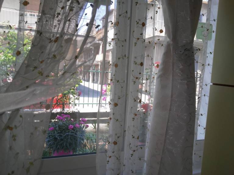 foto8