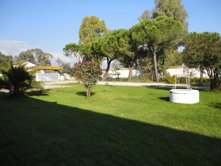 foto11