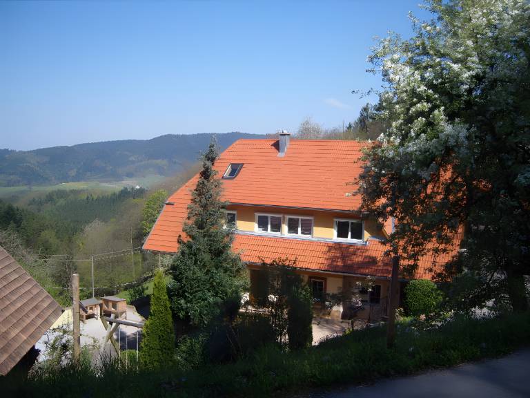 foto18