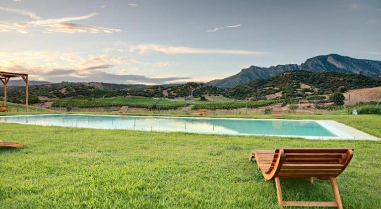 Villa with pool — photo 3