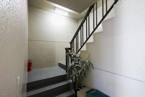 foto12