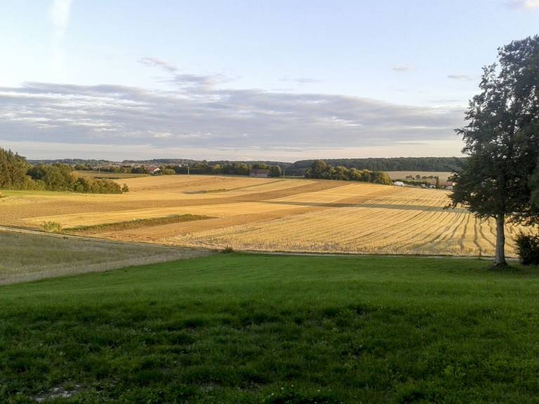 foto15