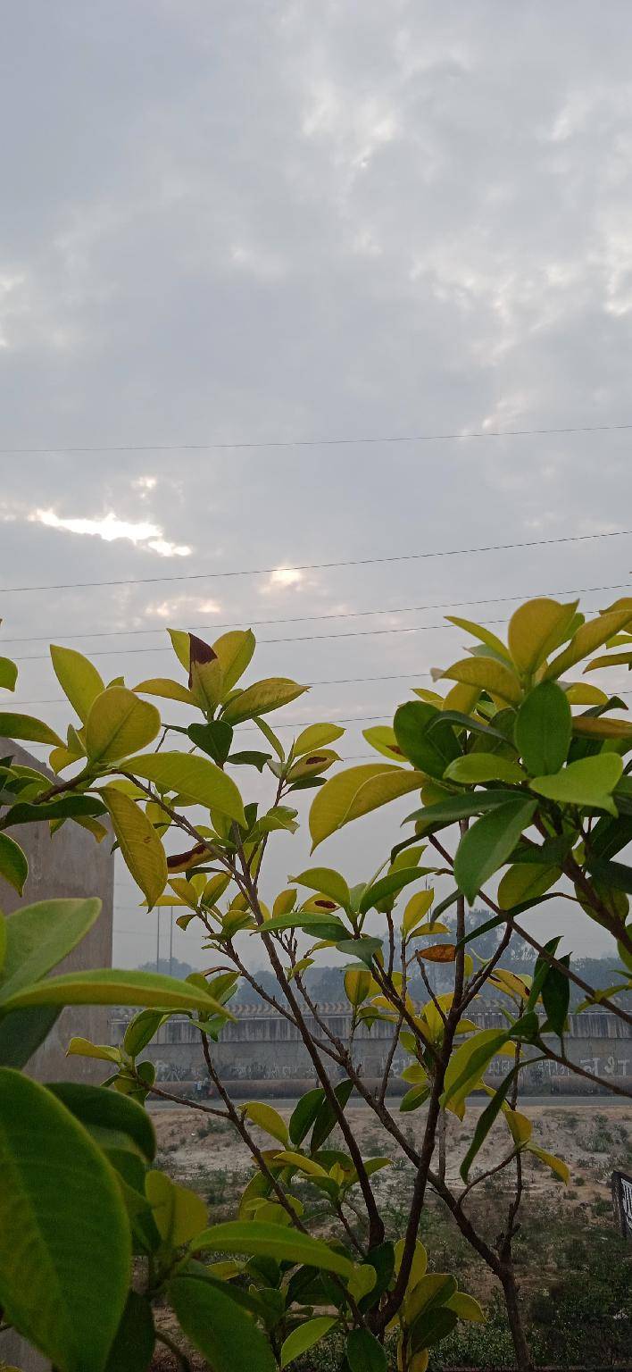 foto5