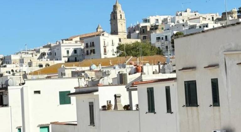 Nice holiday apartment | Pet-friendly — photo 4
