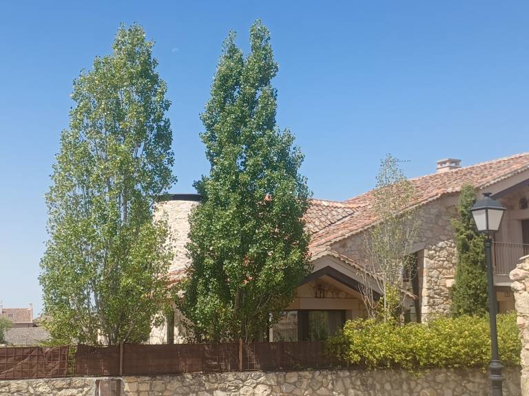 Casa rural Pedraza