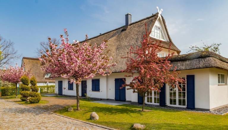 Ferienhaus  Groß Schwansee