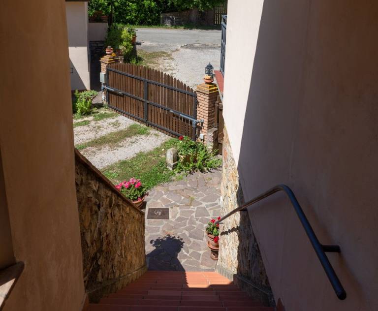 foto6