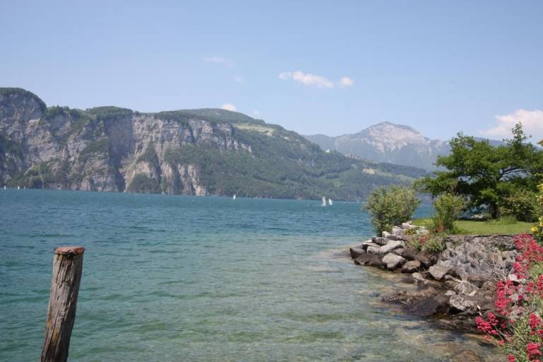 foto6