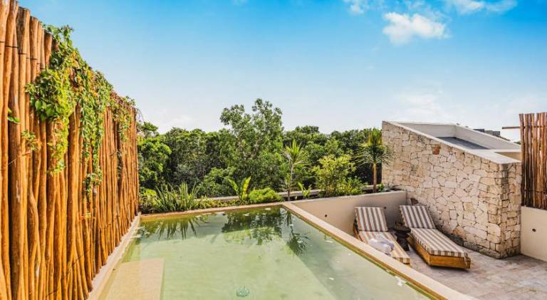 Jungle Penthouse w Sunset Rooftop Private Pool — photo 5