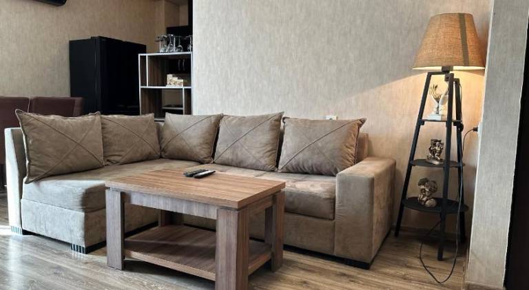 Beautiful apartment | Dogs allowed in Tbilisi