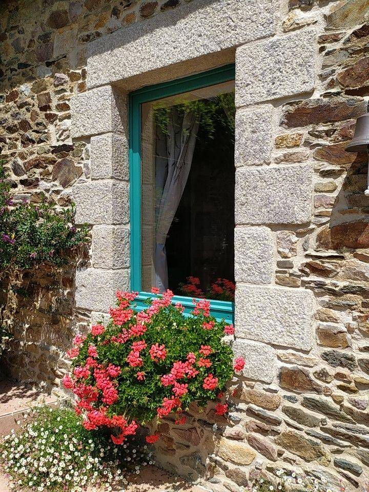 foto22