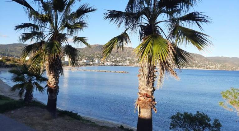 Rental apartment | Beach nearby | Pets allowed — photo 5