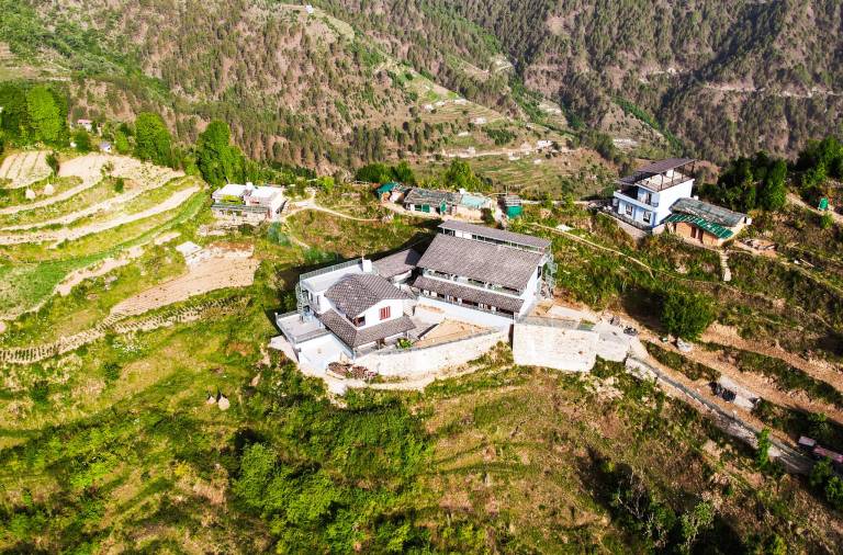 The Himalayan Deodar — photo 5