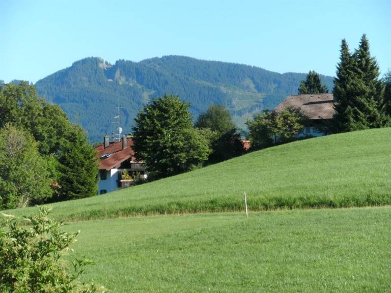 foto2