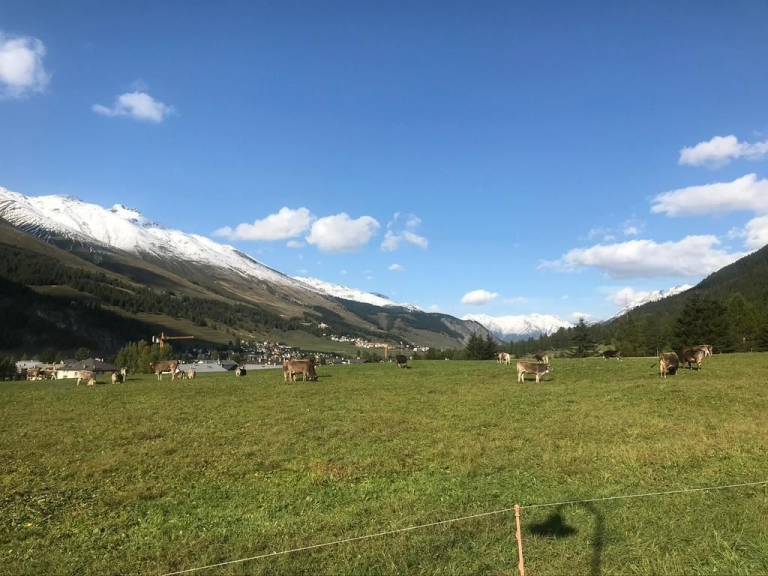 foto12