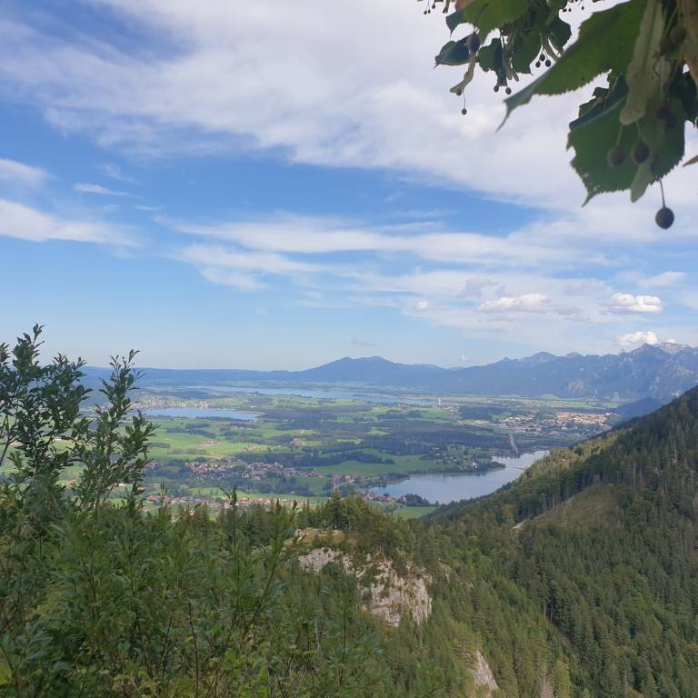 foto15