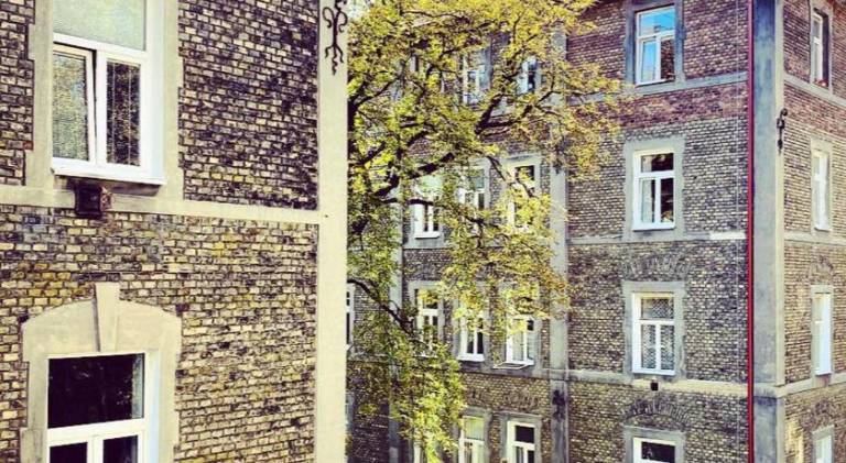 Nook I Palarikova — photo 5