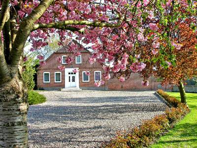 55 M² Ferienwohnung ∙ 2 Schlafzimmer ∙ 4 Gäste - Großenbrode