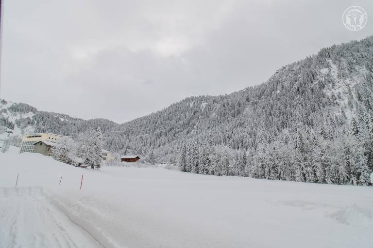 foto40