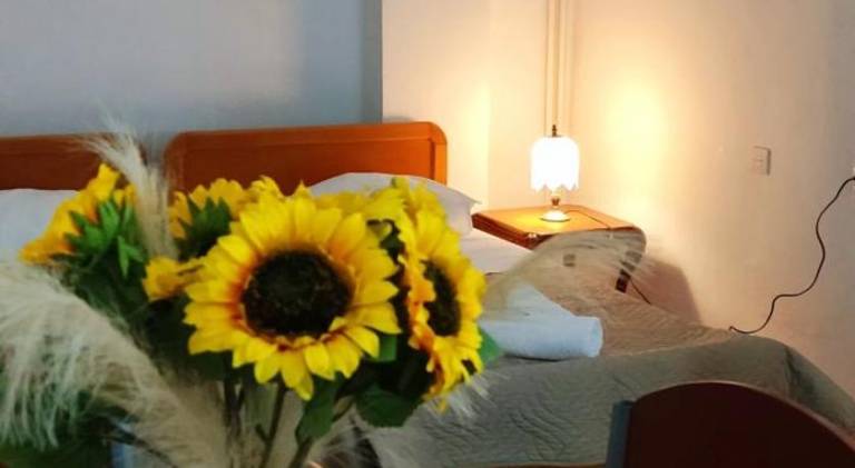 Lovely apartment | Beach nearby | Pet-friendly — photo 2